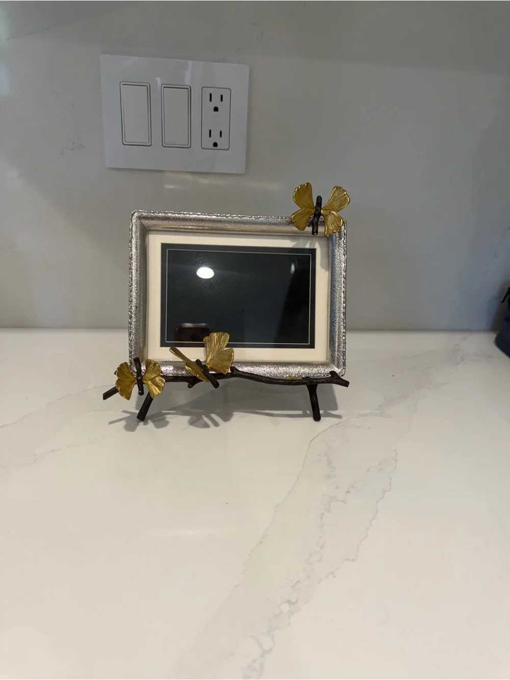 Decorative Silver Photo Frame with Gold Butterfly Accents - Home Accents